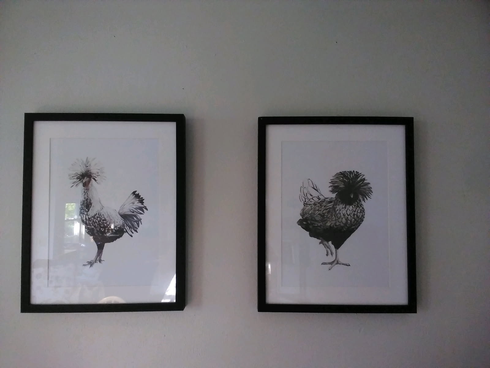 Chicken paintings